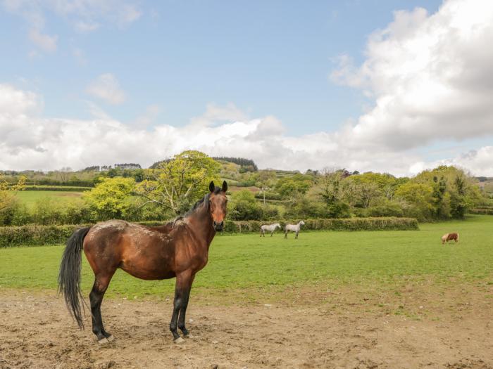 Higher Whiddon Farm Whiddon Well, Devon