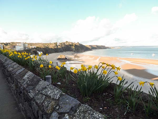 White Cottage Annexe, Wales