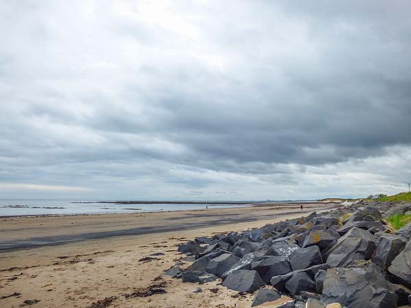 Sandy Knowes, Northumberland