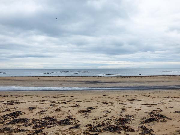 Sandy Knowes, Northumberland