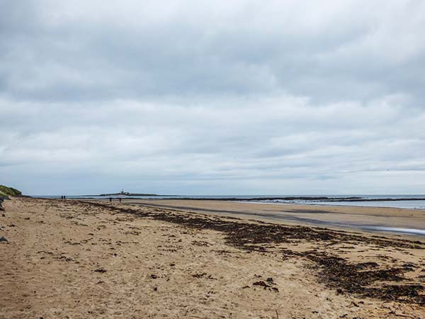 Sandy Knowes, Northumberland