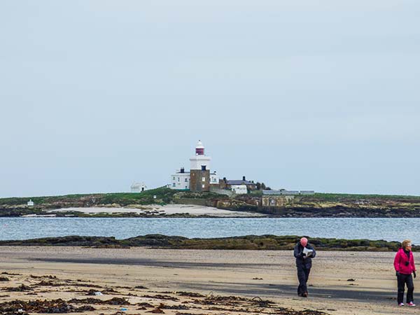 Sandy Knowes, Northumberland