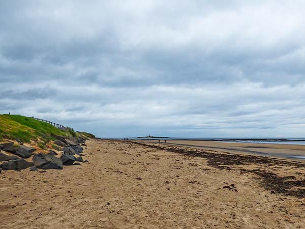 Sandy Knowes, Northumberland