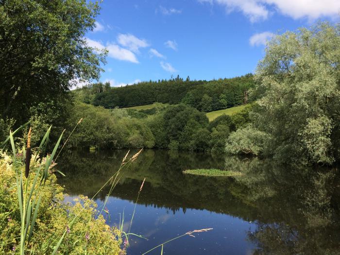 Dermot Cottage, Dumfries and Galloway