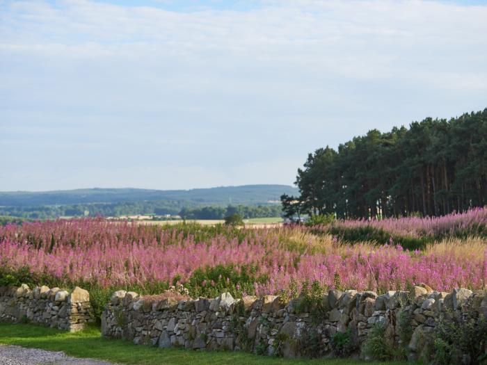 Strathnaver, Scotland