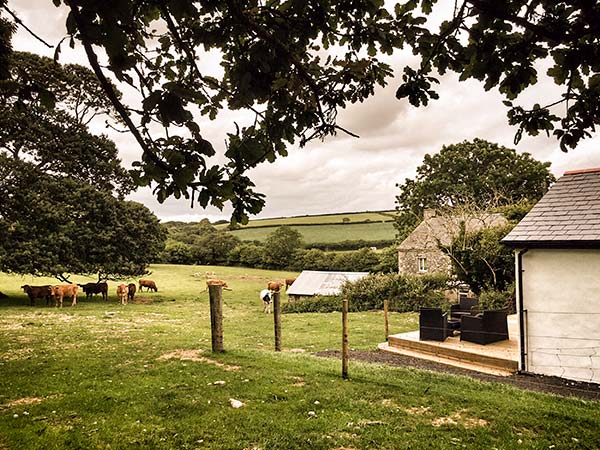 Vine Cottage, Cornwall