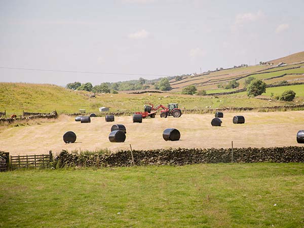 Dale House Farm Cottage, Yorkshire Dales