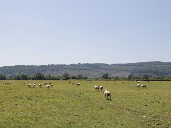 Lower Court Byre, Shropshire