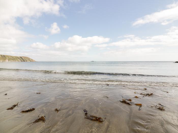 Honeysuckle, Cornwall