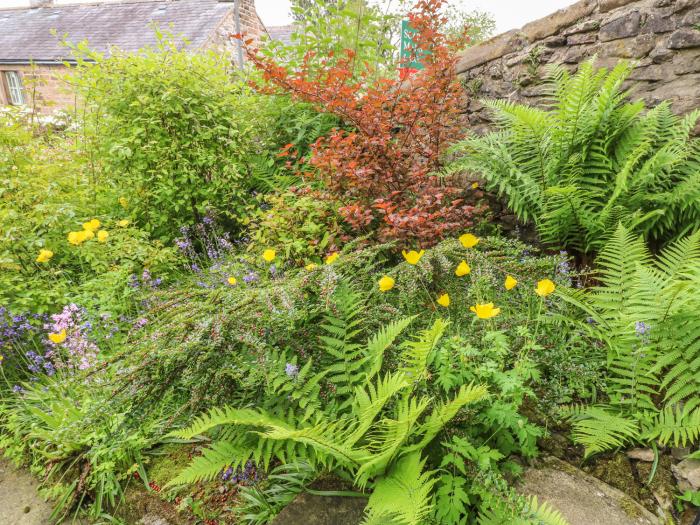 Holly Cottage, Peak District