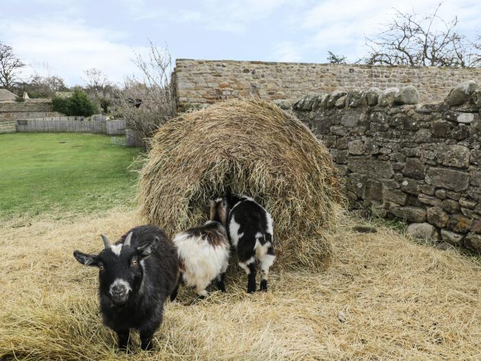 Barforth Hall Dairy, Yorkshire Dales