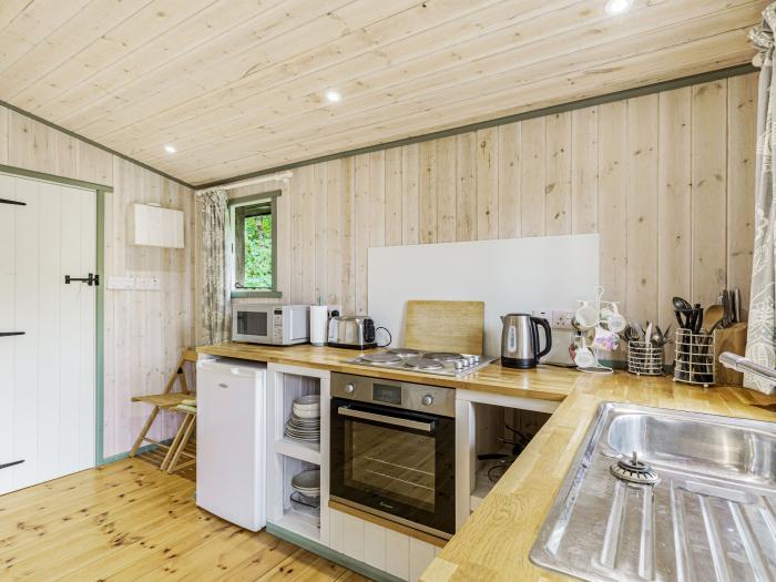 Lakeside Cabin, Devon