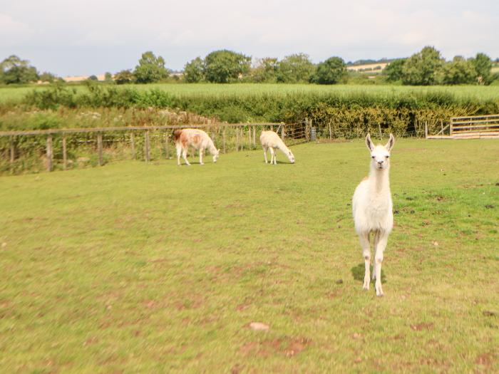 Heathcliff Lodge, North Yorkshire Moors & Coast