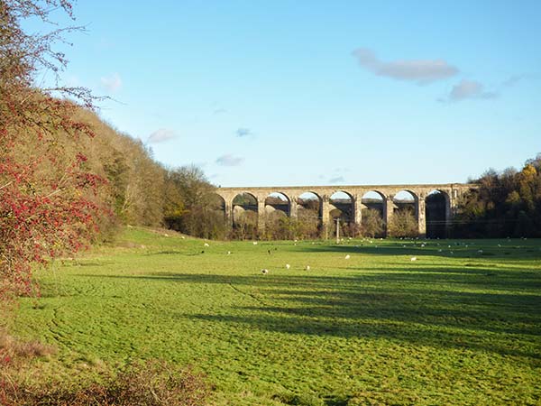 Little Cow House, Heart of England