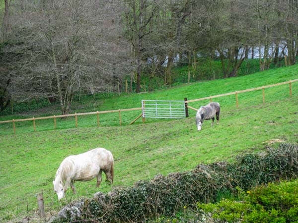 Little Cow House, Heart of England