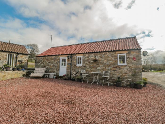 Erica's 'eaven, North York Moors