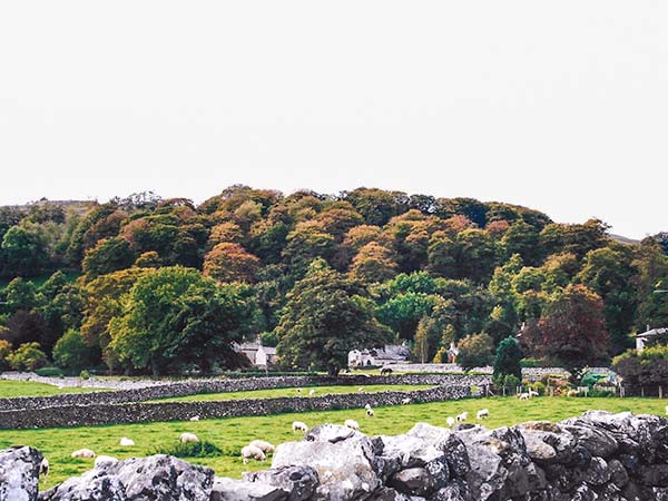 Old Hall Cottage, Yorkshire