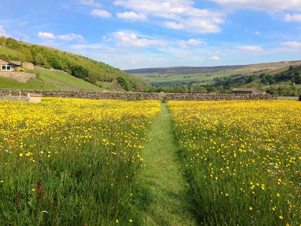 Hillways, Yorkshire