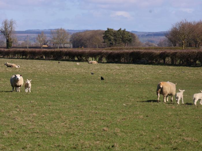 Middlegate, North York Moors & Coast