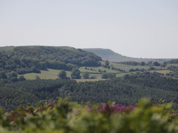 Middlegate, North York Moors & Coast