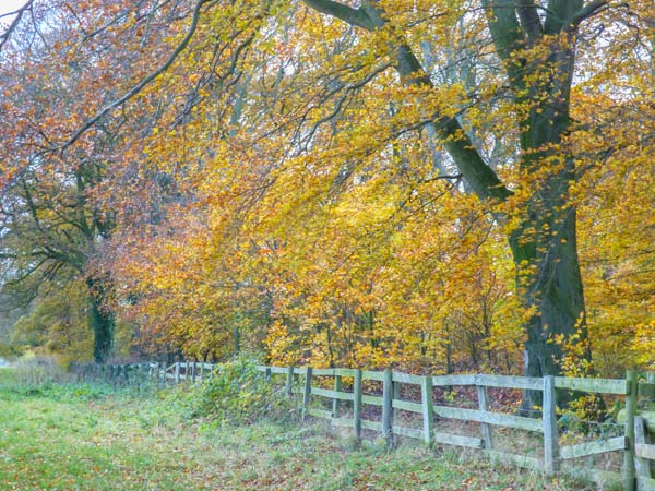 Woodside Cottage, Yorkshire