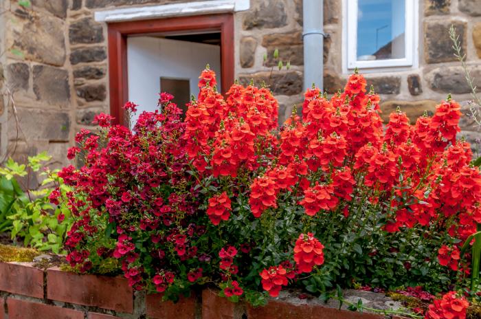 Chimes Cottage, North York Moors