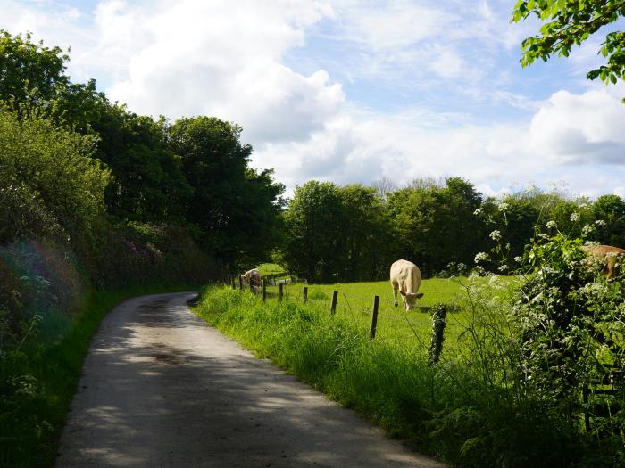 Roe Deer Lodge, Whithorn