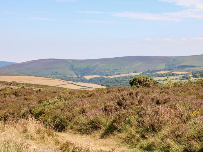 Jack's Nest, Devon