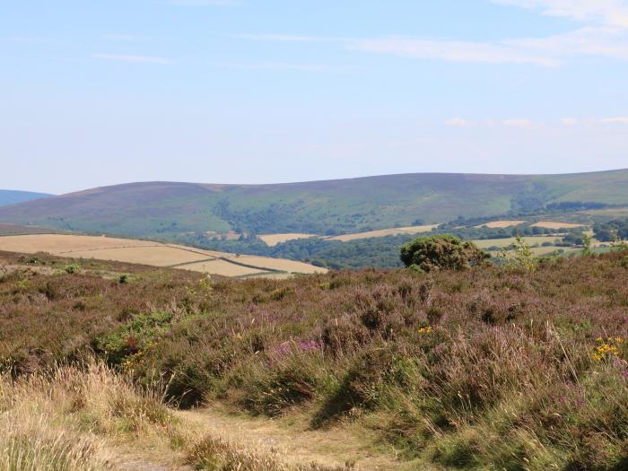 Jack's Nest, Devon