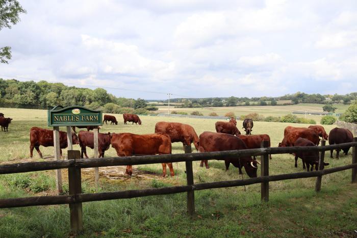 Oxen Cottage @ Nables Farm, Upper Seagry