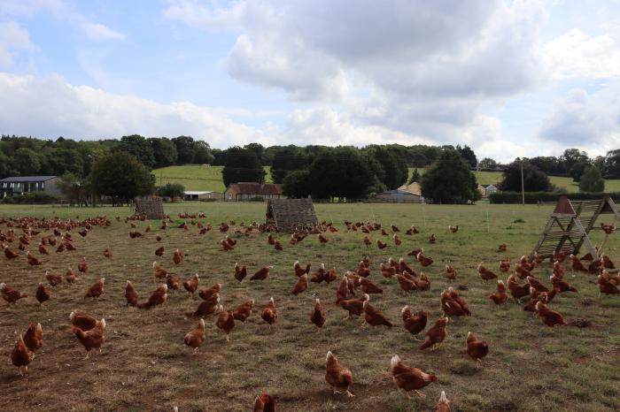 Oxen Cottage @ Nables Farm, Upper Seagry