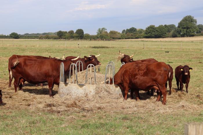 Oxen Cottage @ Nables Farm, Upper Seagry