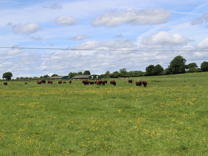 Oxen Cottage @ Nables Farm, Upper Seagry