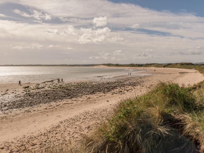 Rock Rose, Northumberland