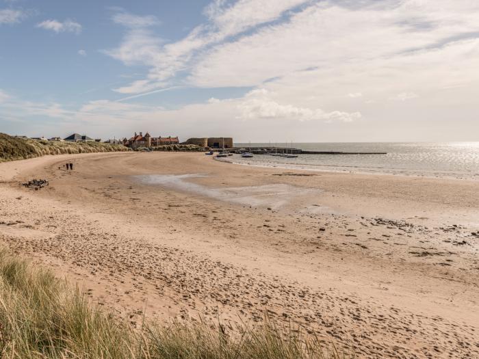 Rock Rose, Northumberland