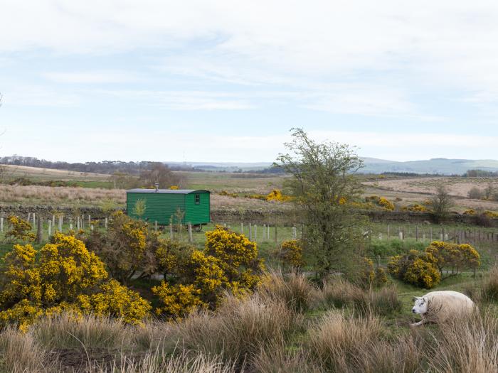 Peat Gate Shepherd's Hut, Northumberland