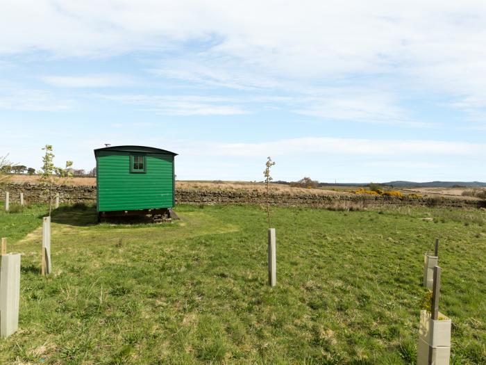 Peat Gate Shepherd's Hut, Northumberland