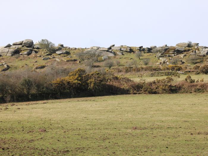 Badgers Sett, Cornwall