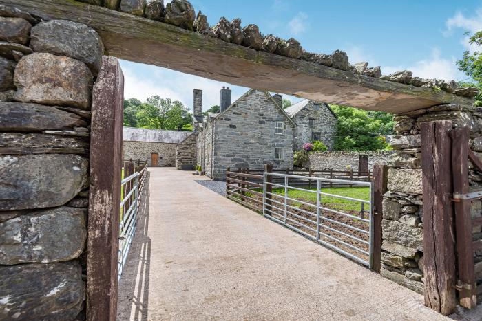 Waedog Bach, Wales