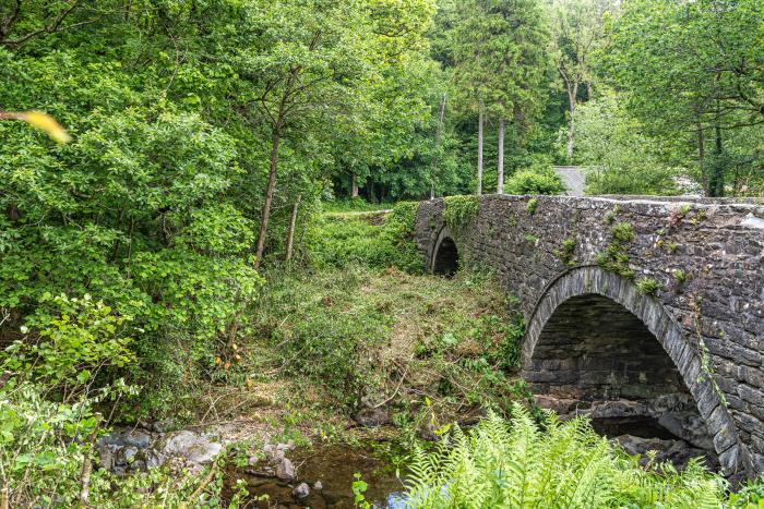 Waedog Bach, Wales