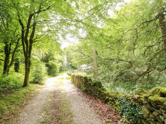 The Dell, Peak District National Park