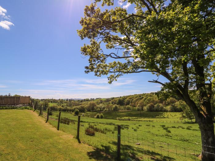 Foxes Meadow, Mid Wales