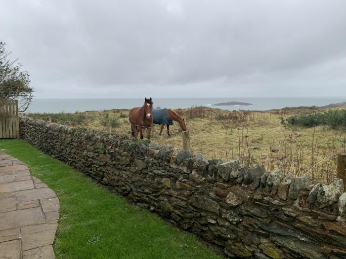 Llecyn Braf, Wales