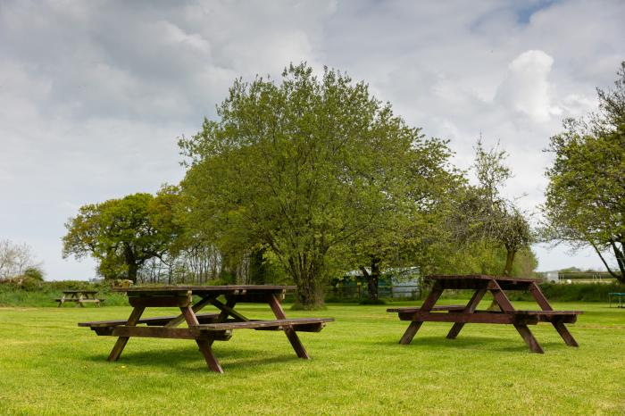 Warren Cottage near Torrington, Devon. In a rural location. Pet-friendly. Shared indoor heated pool.