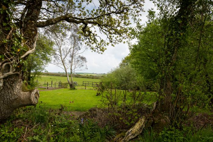 Warren Cottage near Torrington, Devon. In a rural location. Pet-friendly. Shared indoor heated pool.