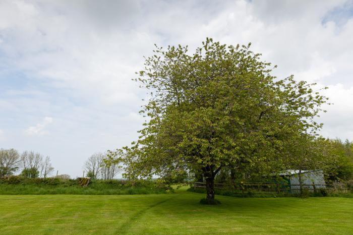 Warren Cottage near Torrington, Devon. In a rural location. Pet-friendly. Shared indoor heated pool.