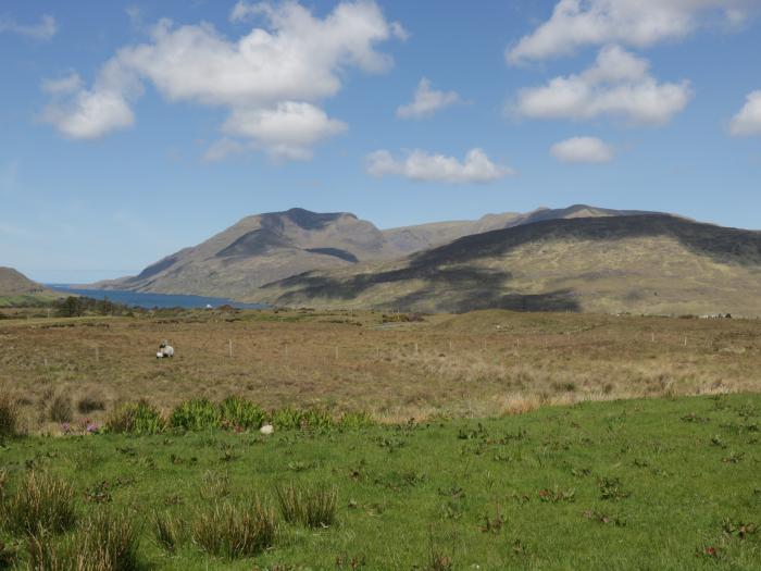 Seaspray, Tully, County Galway