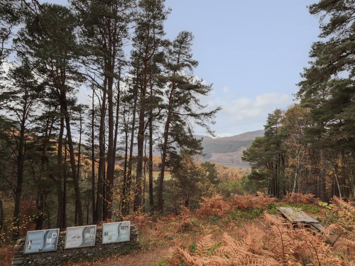 Wendy's Place, Scottish Highlands