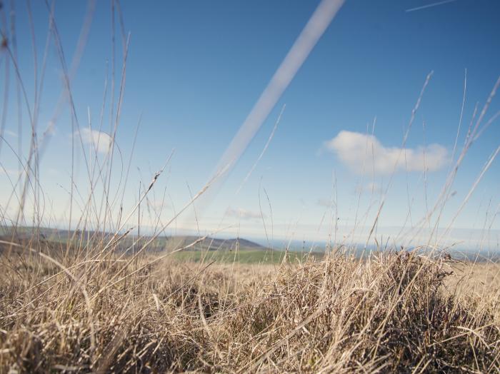 Llaethdy - The Dairy, Wales