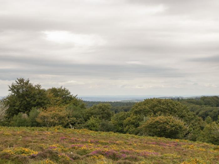 Flora's Barn, Crowcombe